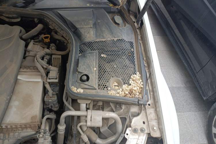Used Mercedes-Benz C-Class 2016 C 200 Sport Edition Engine Bay Left