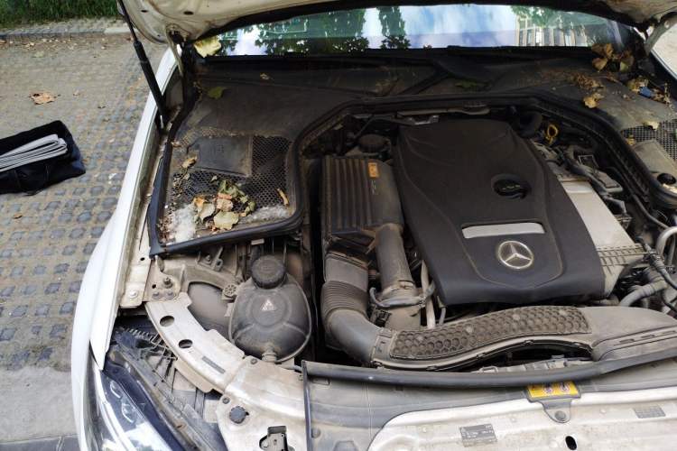 Used Mercedes-Benz C-Class 2016 C 200 Sport Edition Engine Bay Right
