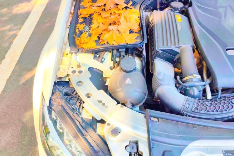 Used Mercedes-Benz C-Class 2016 C 200 Sport Edition Engine Bay Right