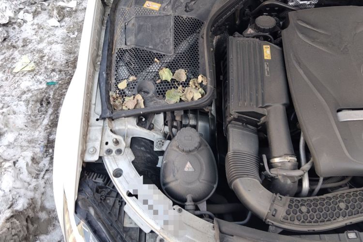 Used Mercedes-Benz C-Class 2016 C 180 L Sport Edition Engine Bay Right