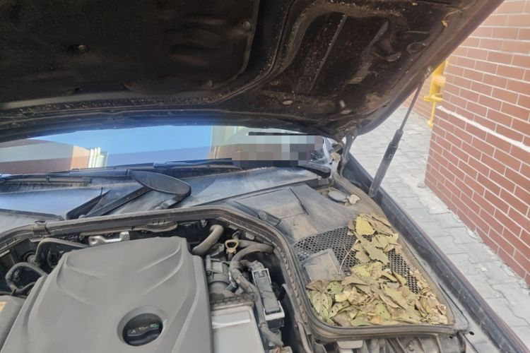 Used Mercedes-Benz C-Class 2017 C 200 L Engine Bay Left