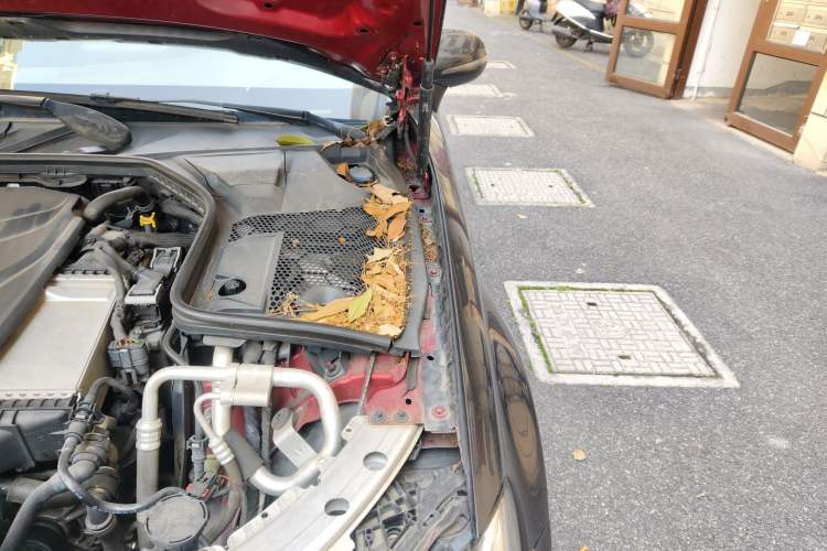 Used Mercedes-Benz C-Class 2017 C 300 Coupe Engine Bay Left