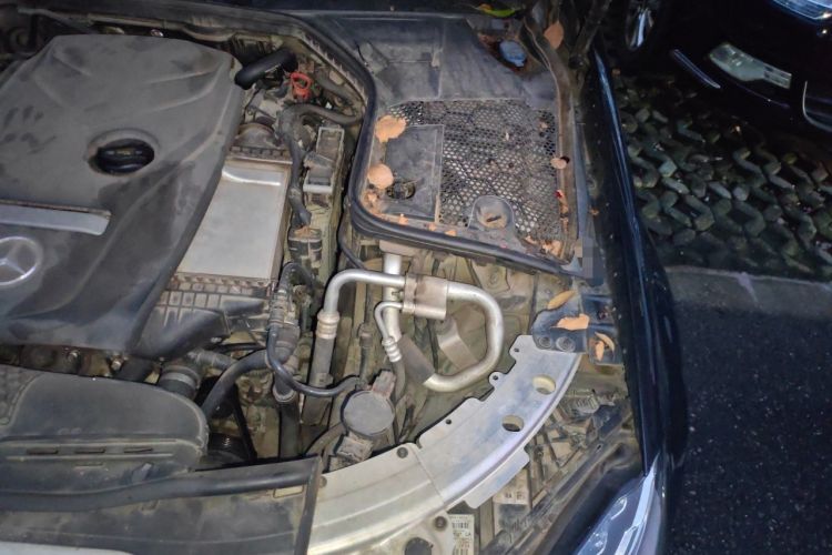 Used Mercedes-Benz C-Class 2017 Revised C 180 L Dynamic Sports Edition Engine Bay Left