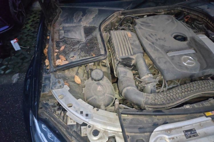 Used Mercedes-Benz C-Class 2017 Revised C 180 L Dynamic Sports Edition Engine Bay Right