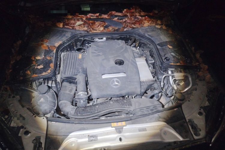Used Mercedes-Benz C-Class 2017 Facelift C 200 L Sport Edition Engine Bay