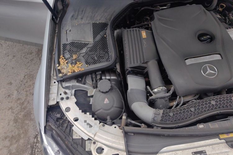 Used Mercedes-Benz C-Class 2017 Facelift C 200 L Sport Edition Engine Bay Right