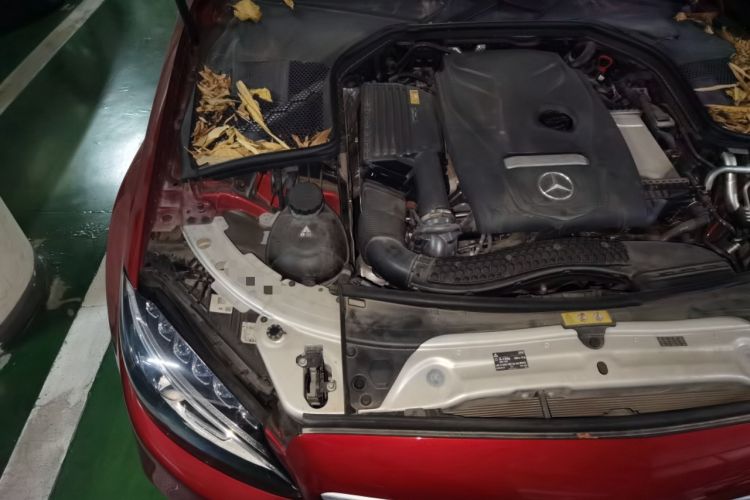 Used Mercedes-Benz C-Class 2017 Restyled C 180 L Fashion Edition Sport Version Engine Bay Right