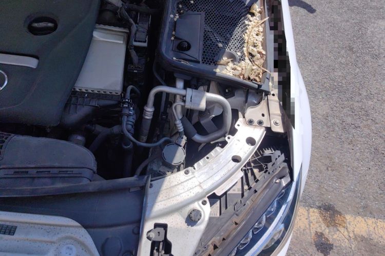 Used Mercedes-Benz C-Class 2017 Facelift C 200 L Sport Edition Engine Bay Left