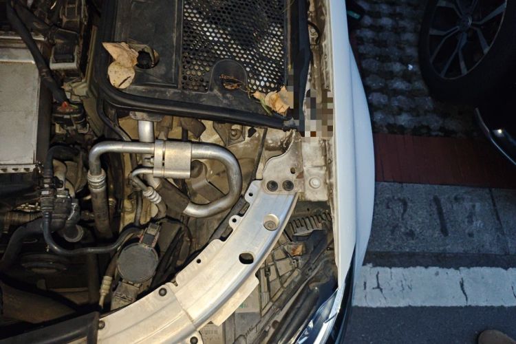 Used Mercedes-Benz C-Class 2017 C 200 Sport Edition Engine Bay Left