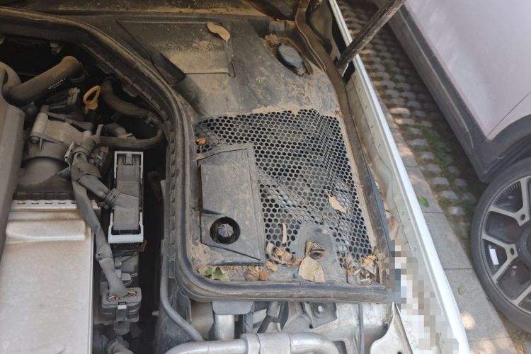 Used Mercedes-Benz C-Class 2017 C 200 L Sport Edition Engine Bay Left