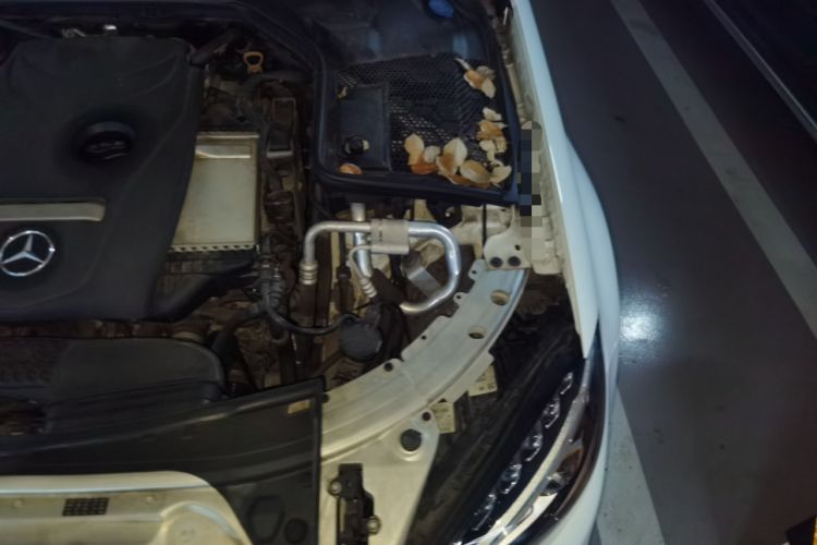 Used Mercedes-Benz C-Class 2017 C 200 Sport Edition Engine Bay Left