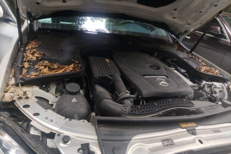 Used Mercedes-Benz C-Class 2017 Restyled C 180 L Fashion Edition Sport Version Engine Bay Right
