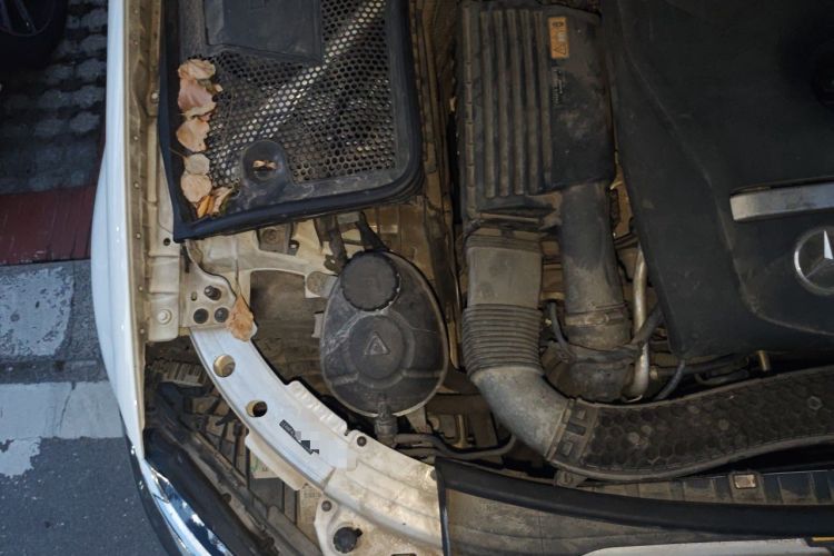Used Mercedes-Benz C-Class 2017 C 200 Sport Edition Engine Bay Right