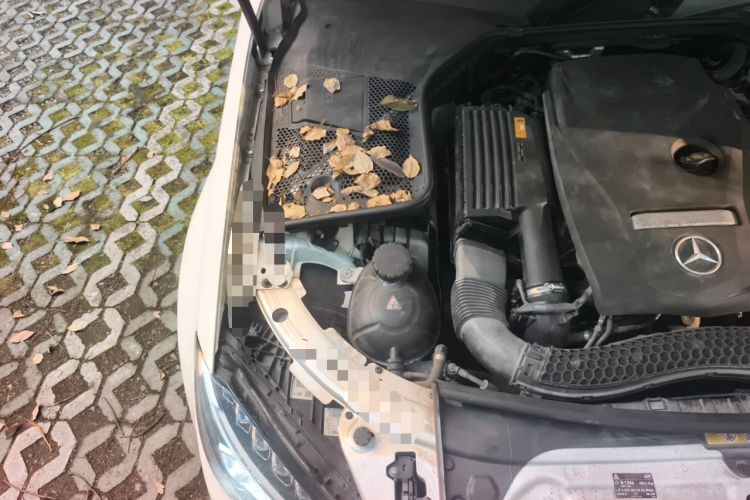 Used Mercedes-Benz C-Class 2017 Restyled C 200 Sport Edition Engine Bay Right