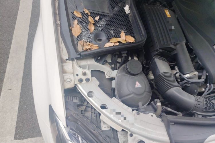 Used Mercedes-Benz C-Class 2017 Facelift C 200 L Sport Edition Engine Bay Right