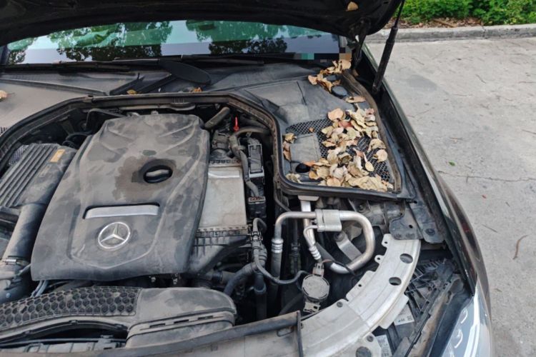 Used Mercedes-Benz C-Class 2018 C 180 L Fashion Edition Sport Version Engine Bay Left