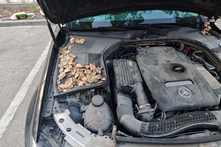 Used Mercedes-Benz C-Class 2018 C 180 L Fashion Edition Sport Version Engine Bay Right