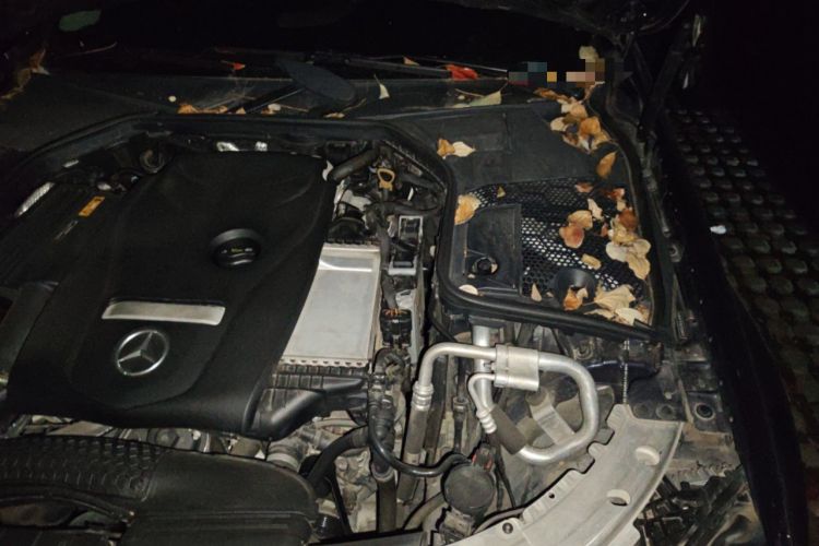 Used Mercedes-Benz C-Class 2018 C 200 L Sport Edition Engine Bay Left