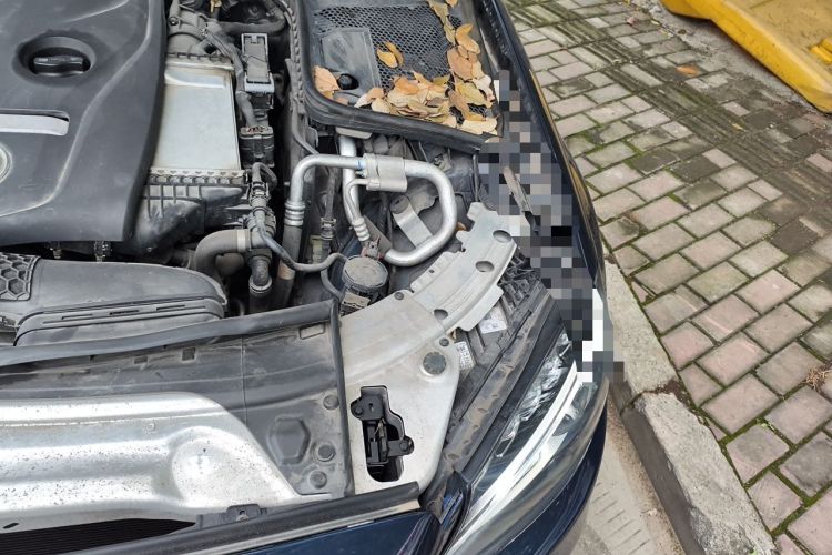 Used Mercedes-Benz C-Class 2018 C 200 Coupe Engine Bay Left