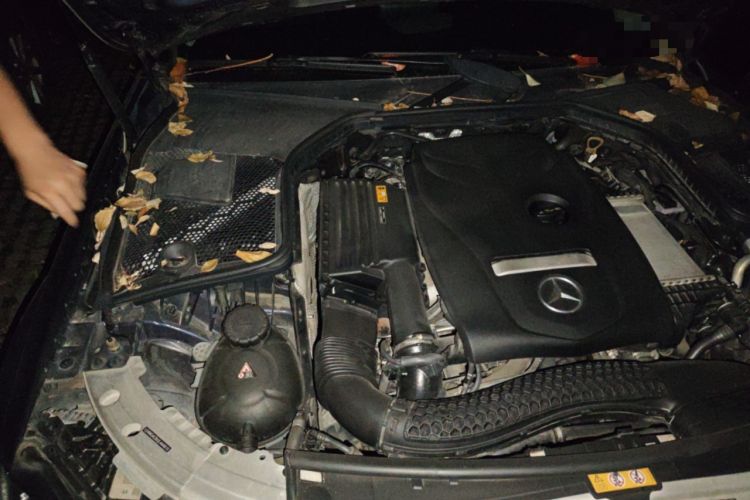 Used Mercedes-Benz C-Class 2018 C 200 L Sport Edition Engine Bay Right