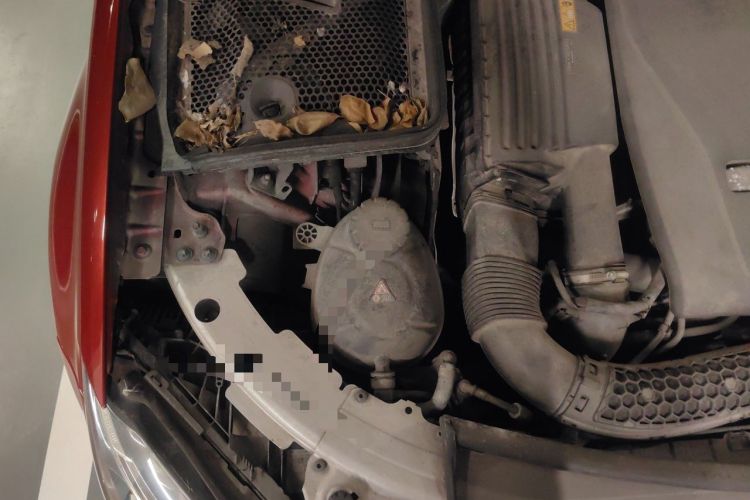 Used Mercedes-Benz C-Class 2018 C 200 L Sport Edition Engine Bay Right