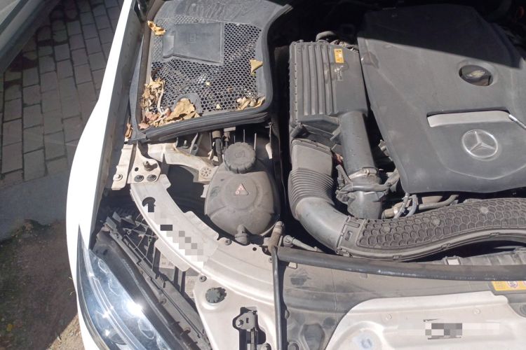 Used Mercedes-Benz C-Class 2018 C 180 L Dynamic Sports Edition Engine Bay Right