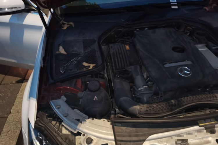 Used Mercedes-Benz C-Class 2018 C 200 L Sport Edition Achievement Special Edition Engine Bay Right