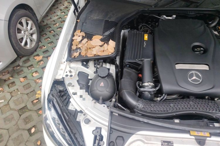 Used Mercedes-Benz C-Class 2018 C 200 L Sport Edition Engine Bay Right