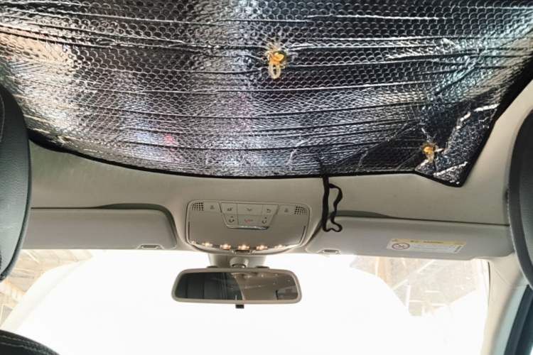 Used Mercedes-Benz C-Class 2018 C 200 L Sport Edition Headliner