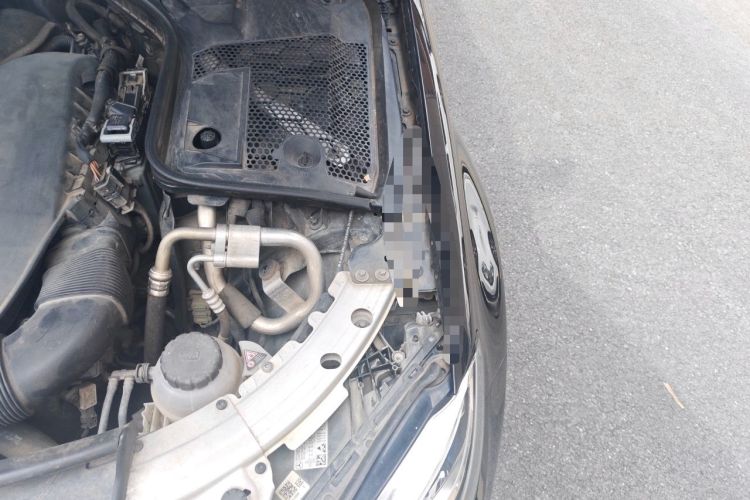 Used Mercedes-Benz C-Class 2019 C 260 Sport Edition Engine Bay Left