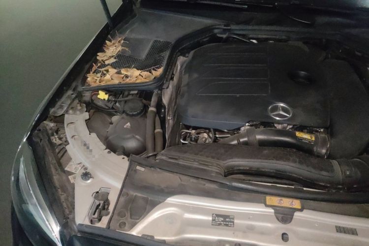 Used Mercedes-Benz C-Class 2019 C 260 Sport Edition Engine Bay Right