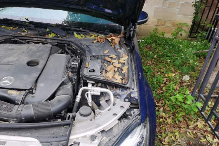 Used Mercedes-Benz C-Class 2019 C 260 L Sport Edition Engine Bay Left