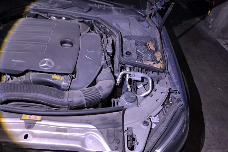 Used Mercedes-Benz C-Class 2019 C 260 Sport Edition Engine Bay Left