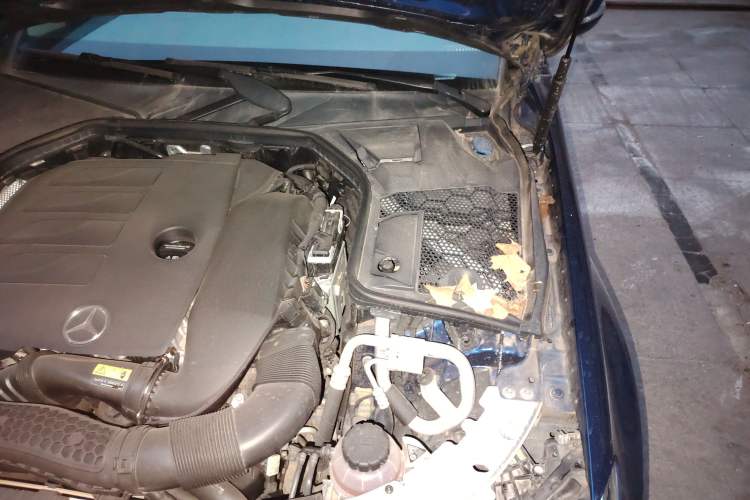 Used Mercedes-Benz C-Class 2019 Updated C 260 L Engine Bay Left