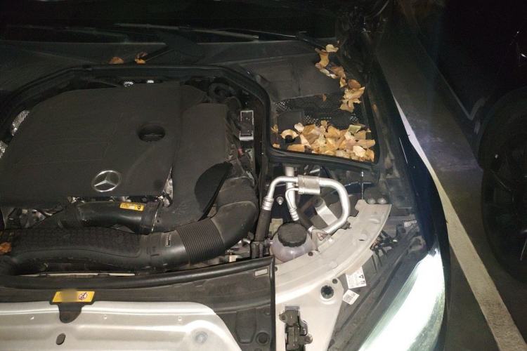 Used Mercedes-Benz C-Class 2019 C 260 Coupe Engine Bay Left