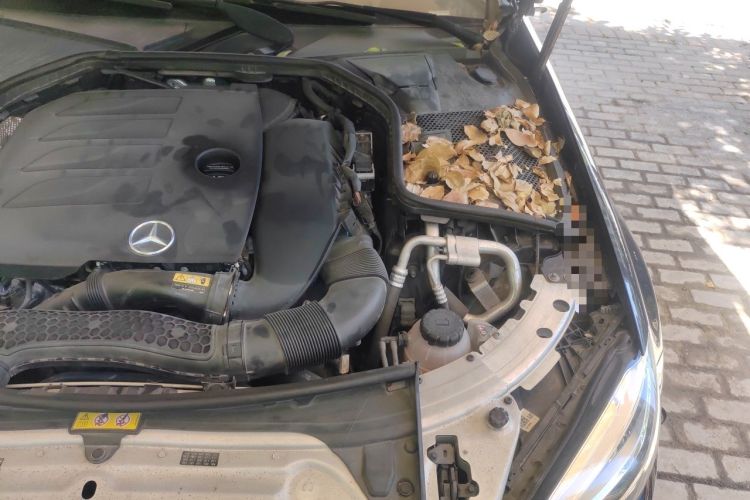 Used Mercedes-Benz C-Class 2019 C 260 L Sport Edition Engine Bay Left