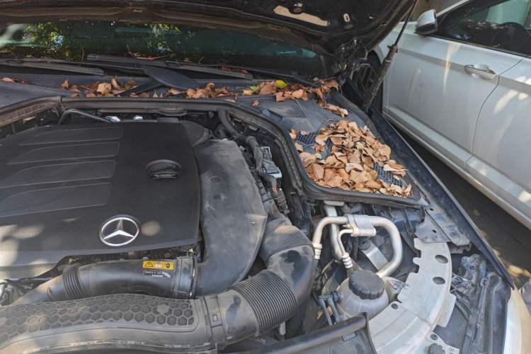Used Mercedes-Benz C-Class 2019 C 260 L Sport Edition Engine Bay Left