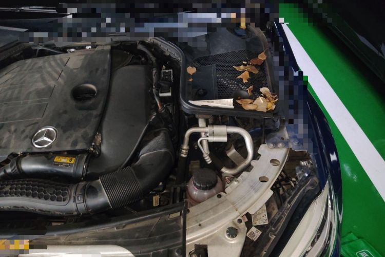 Used Mercedes-Benz C-Class 2019 C 260 L Sport Edition Engine Bay Left
