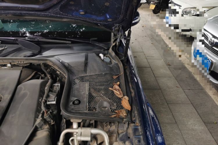 Used Mercedes-Benz C-Class 2019 Restyled C 260 L Sport Edition Engine Bay Left