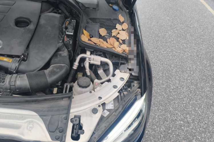 Used Mercedes-Benz C-Class 2019 C 260 Estate Engine Bay Left