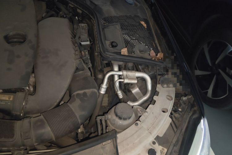 Used Mercedes-Benz C-Class 2019 C 260 Sport Edition Engine Bay Left