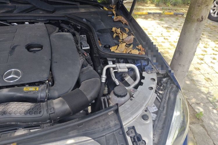 Used Mercedes-Benz C-Class 2019 C 260 L Sport Edition Engine Bay Left