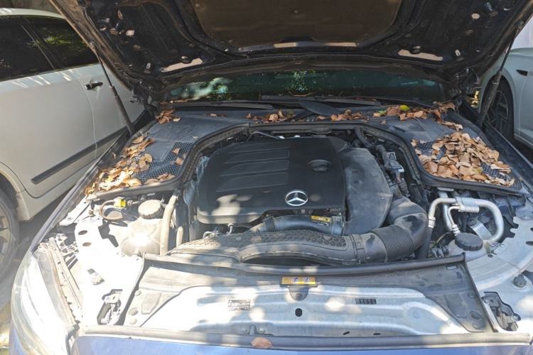 Used Mercedes-Benz C-Class 2019 C 260 L Sport Edition Engine Bay