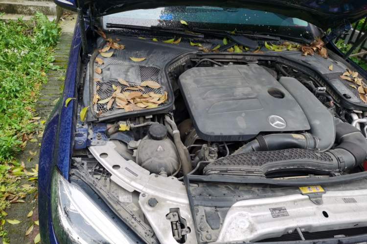 Used Mercedes-Benz C-Class 2019 C 260 L Sport Edition Engine Bay Right