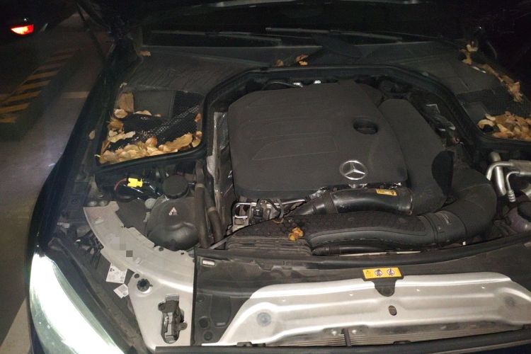 Used Mercedes-Benz C-Class 2019 C 260 Coupe Engine Bay Right