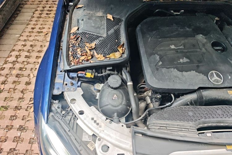 Used Mercedes-Benz C-Class 2019 Restyled C 260 L Sport Edition Engine Bay Right