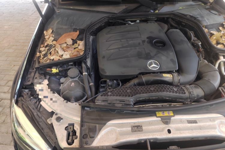 Used Mercedes-Benz C-Class 2019 C 260 L Sport Edition Engine Bay Right