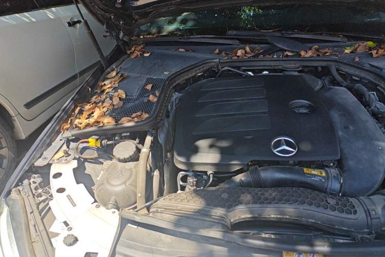 Used Mercedes-Benz C-Class 2019 C 260 L Sport Edition Engine Bay Right