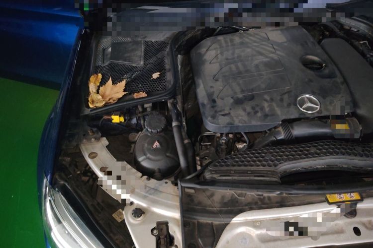 Used Mercedes-Benz C-Class 2019 C 260 L Sport Edition Engine Bay Right