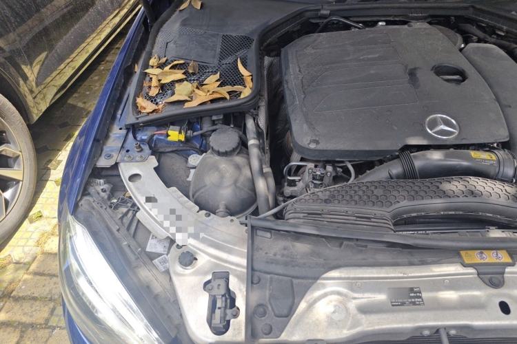 Used Mercedes-Benz C-Class 2019 C 260 L Sport Edition Engine Bay Right